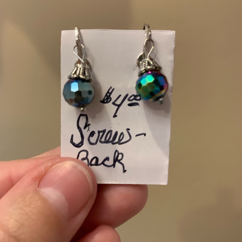 Pair of Metallic Rainbow Skeewback Earrings